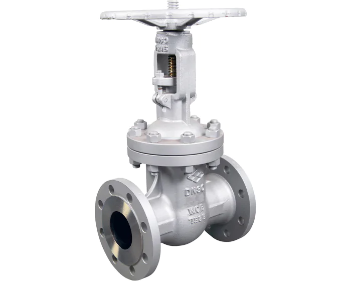 Cast steel A216WCB gate valve 141 RF PN40 EN558 series 26 DN50