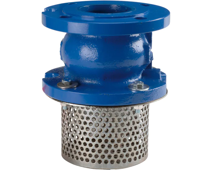 Cast iron foot valve 363 PN16 ACS DN50