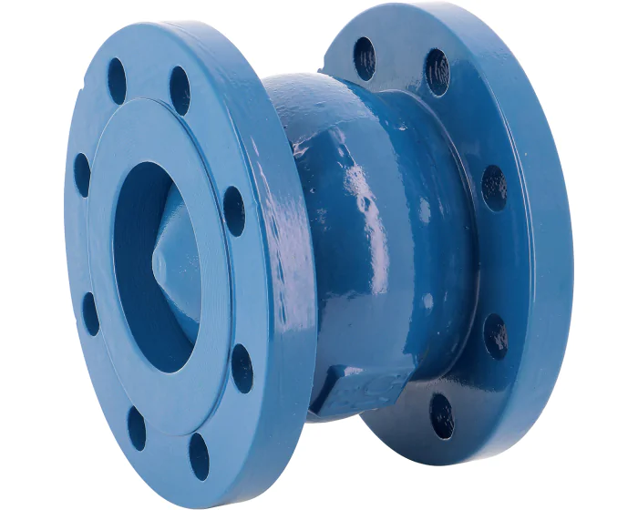 Cast iron spring check valve 366 flanged PN16 ACS DN50
