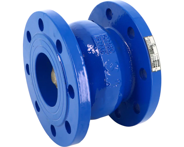 Cast iron spring check valve 369 flanged PN16 DN50